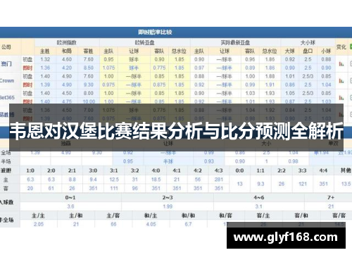 韦恩对汉堡比赛结果分析与比分预测全解析