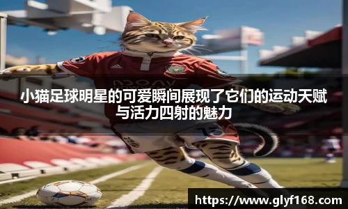 小猫足球明星的可爱瞬间展现了它们的运动天赋与活力四射的魅力